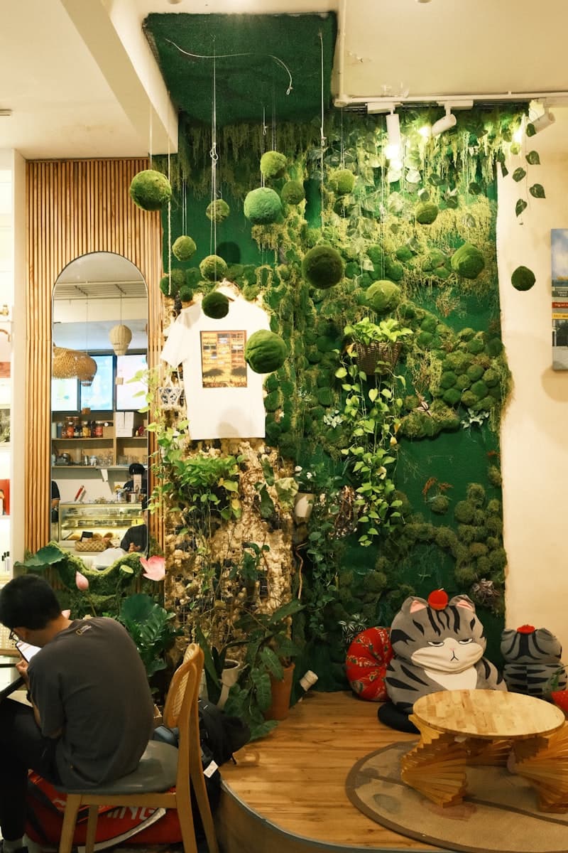 Artisan café — hanging moss balls and arched mirror